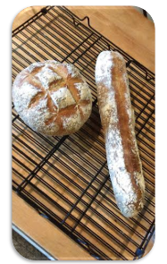 Fresh Bread